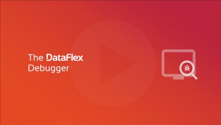 dataflex debugger