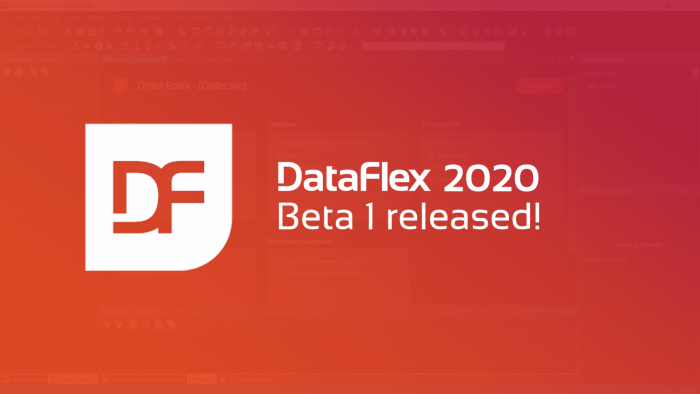 2020-10-06 dataflex 2020 og image beta 1.png.1924x1084.6