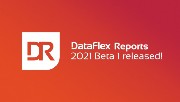 2020-12-23 dataflex reports beta 1.jpg.700x394.6