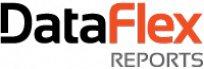 Logo do DataFlex Reports